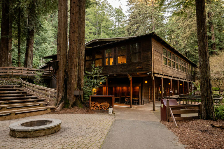 Alliance Redwoods