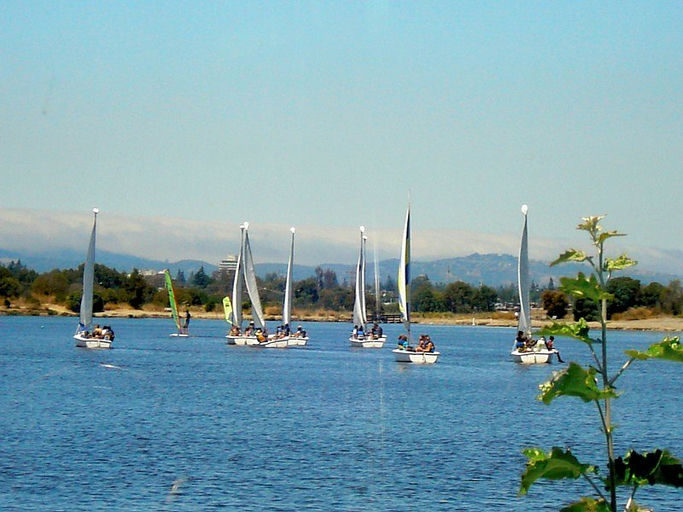 Shoreline Lake