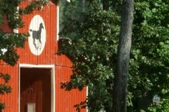 Camp Olympia Retreats